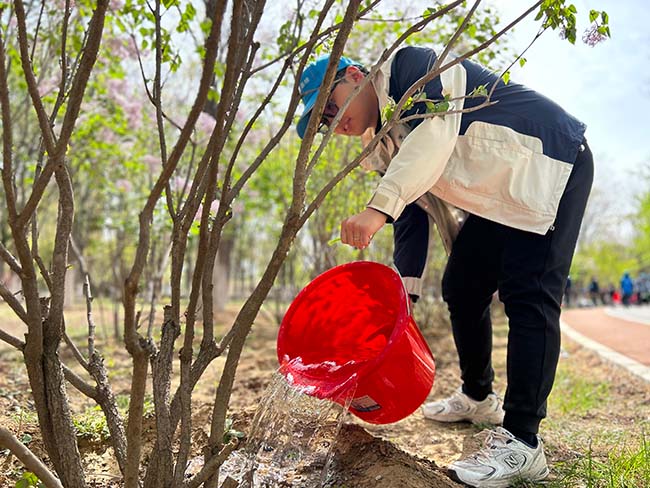 植樹程序已啟動：開發(fā)一部正在輸出綠色...